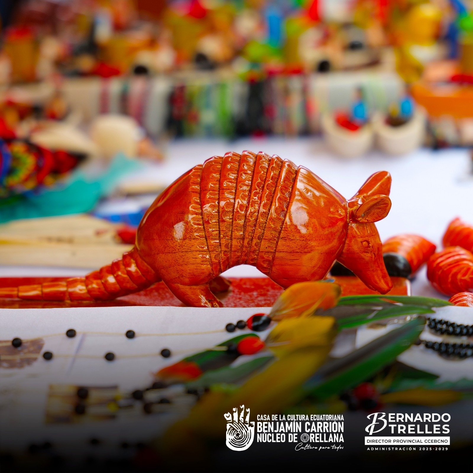 WhatsApp Image 2025-11-18 at 16.18.59