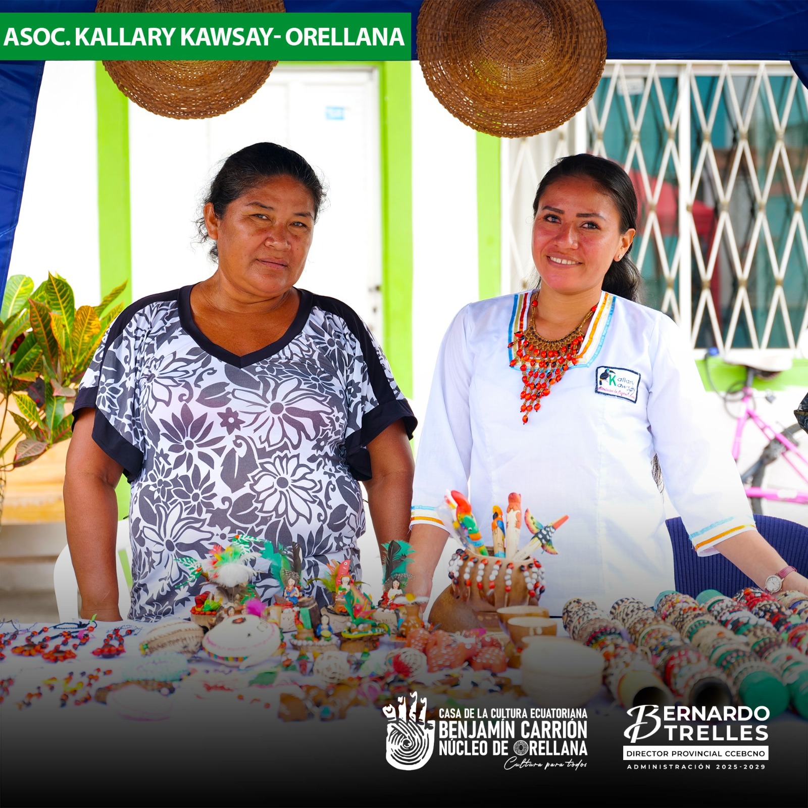 WhatsApp Image 2025-11-18 at 16.19.00