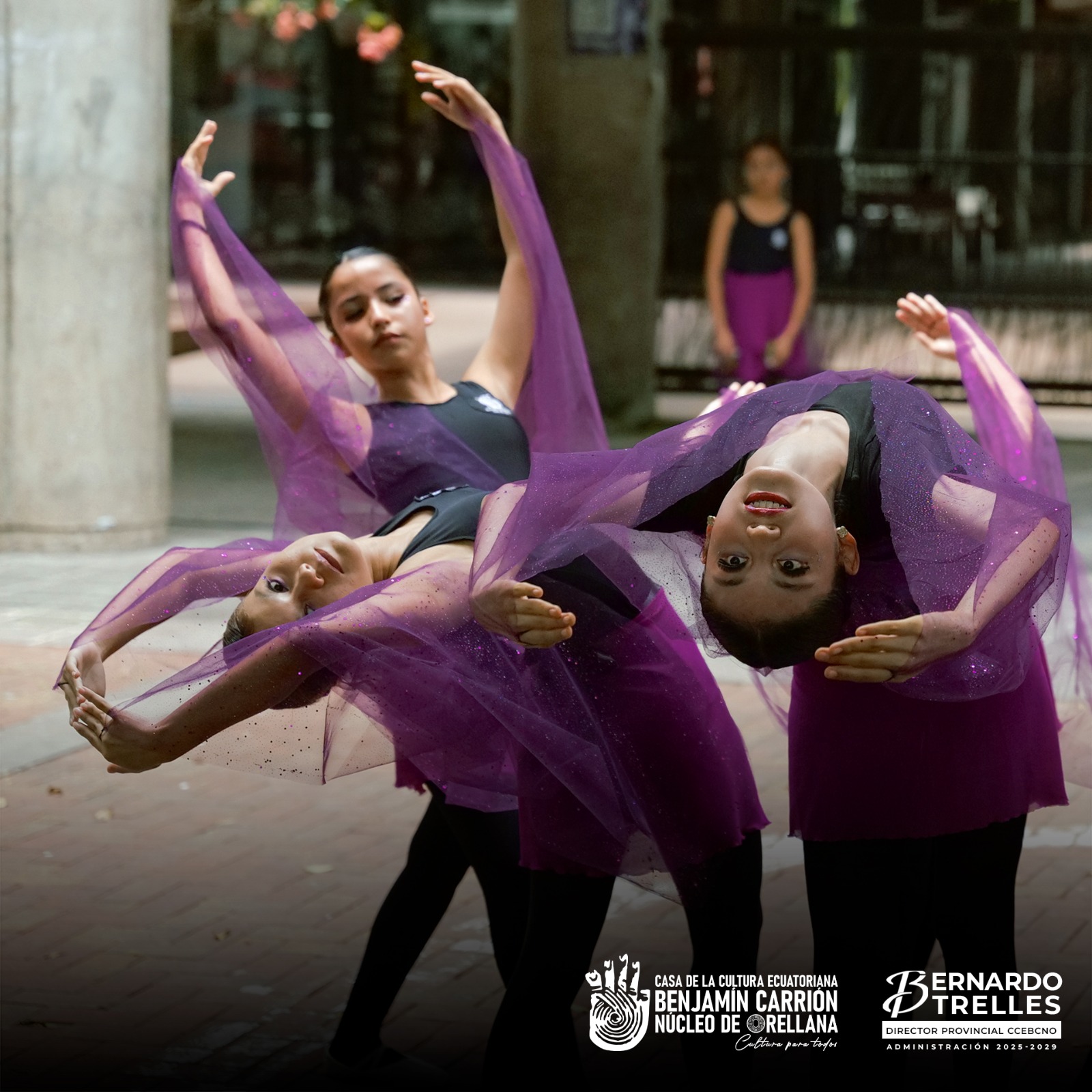 WhatsApp Image 2026-03-10 at 15.24.30 (1)