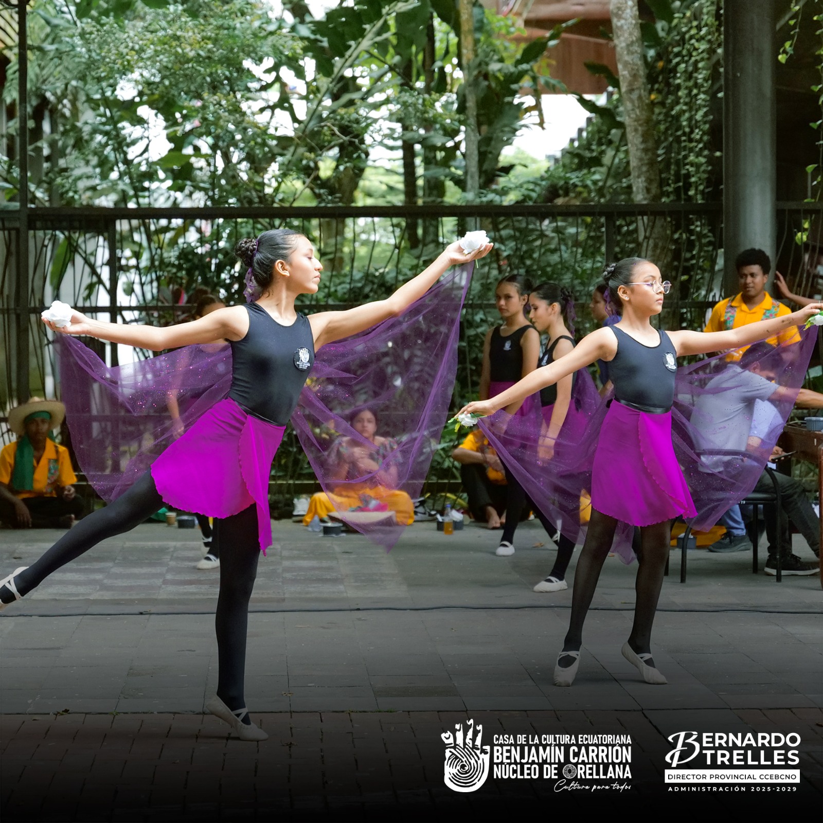 WhatsApp Image 2026-03-10 at 15.24.30 (2)